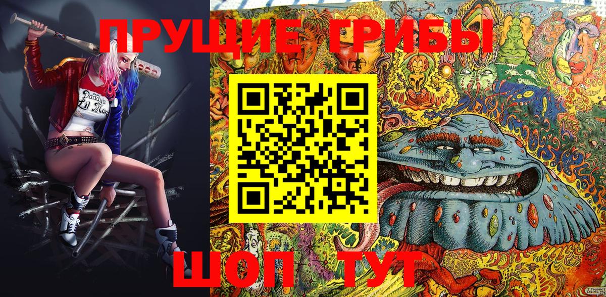 Галлюциногенные грибы Cubensis Шадринск